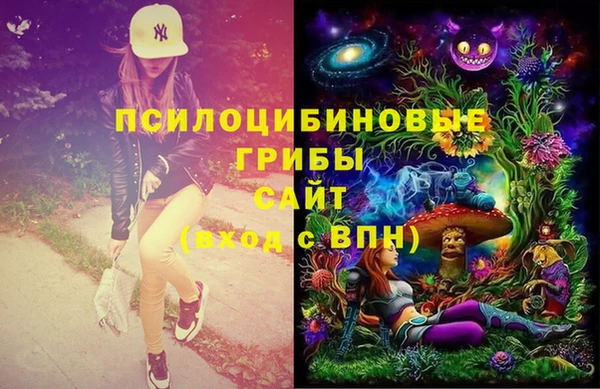 ГАЛЛЮЦИНОГЕННЫЕ ГРИБЫ Заводоуковск