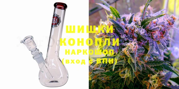 ГАЛЛЮЦИНОГЕННЫЕ ГРИБЫ Заводоуковск