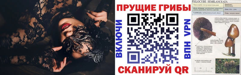 Купить  Новое Девяткино  Галлюциногенные грибы ЛСД 